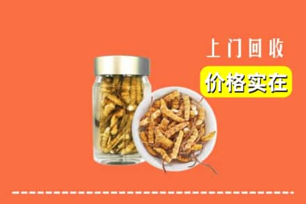 收购资讯:漳州市龙海回收散虫草