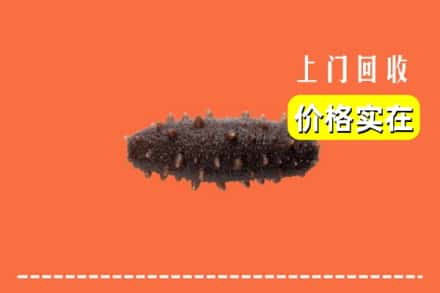 收购资讯:漳州市龙海回收海参